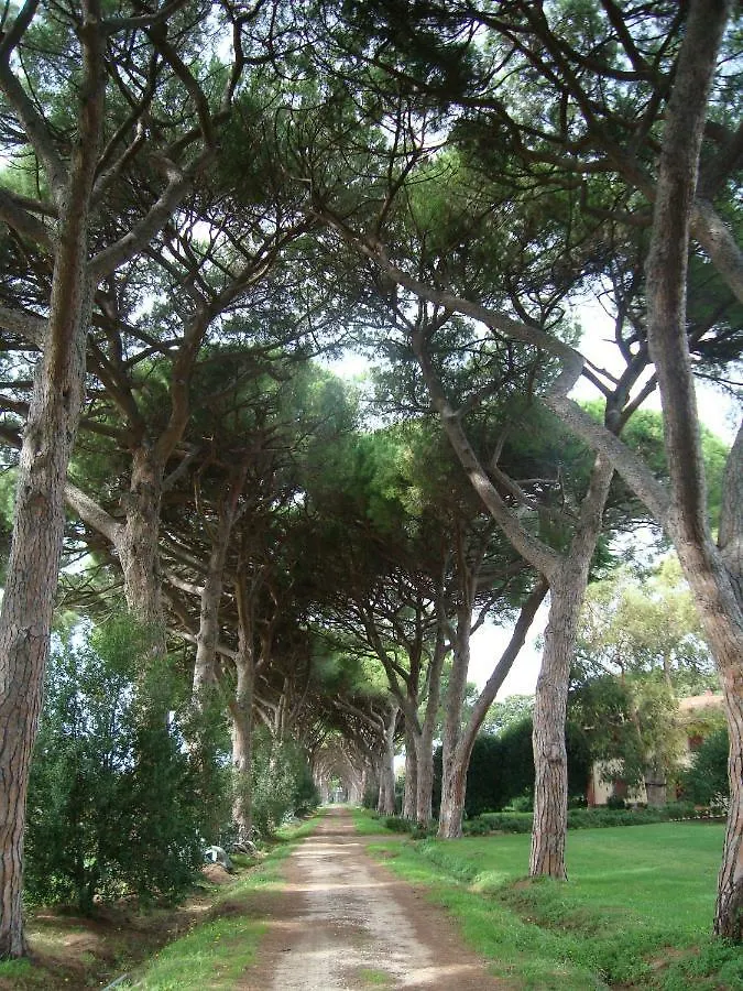 Farma Azienda Agricola Paradiso Castagneto Carducci