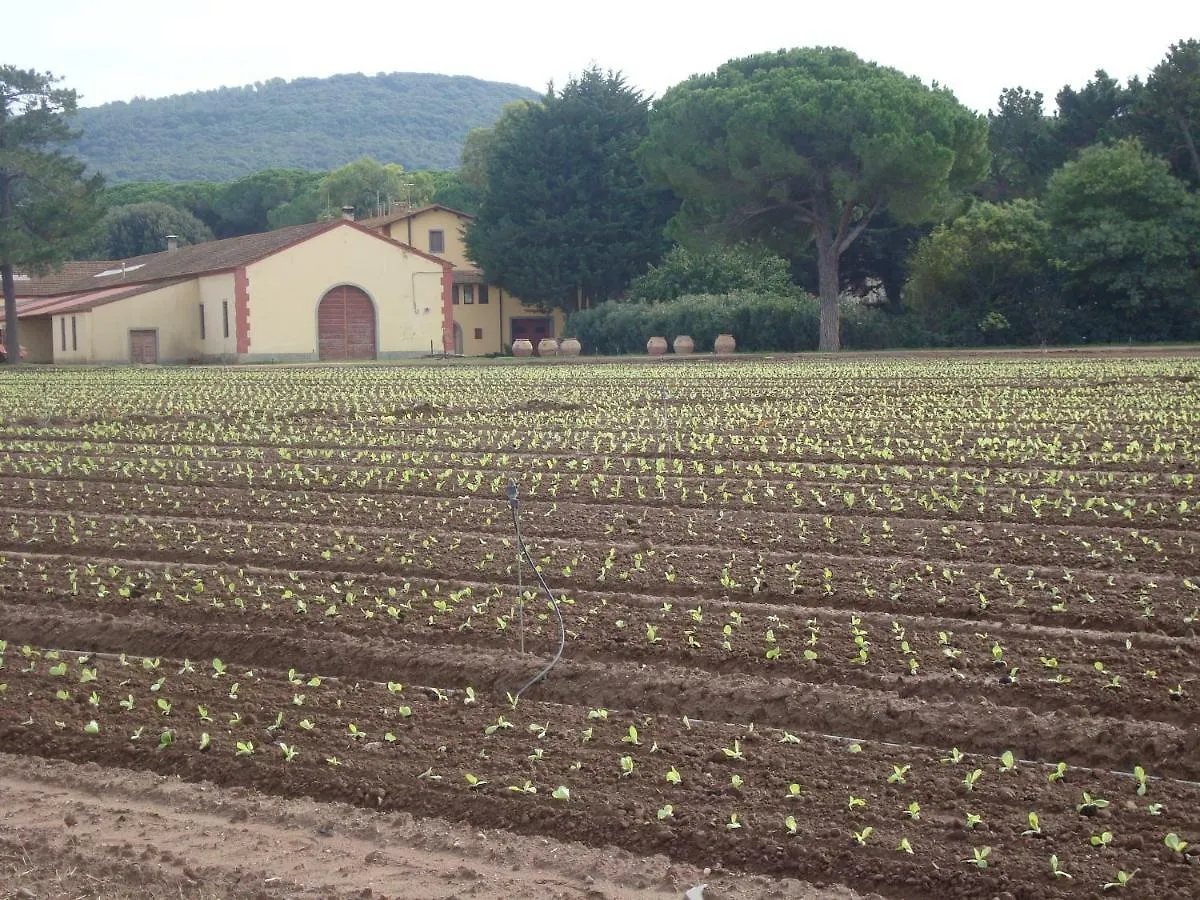 Azienda Agricola Paradiso Castagneto Carducci 0*,  Itálie