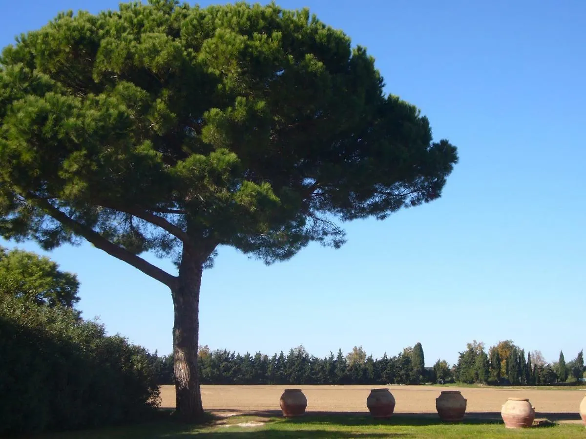 Azienda Agricola Paradiso Castagneto Carducci Farm stay